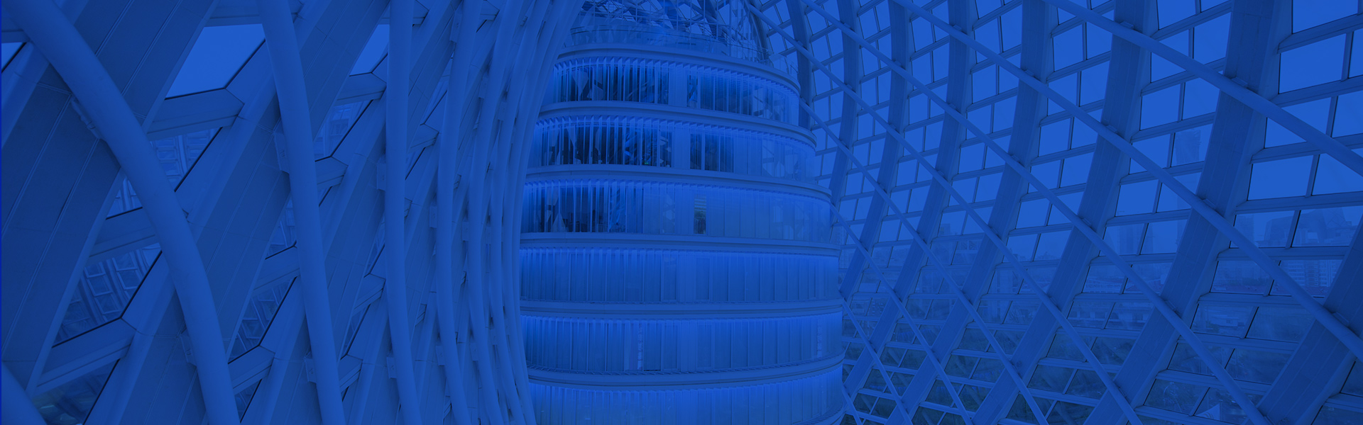 Case Details Banner
